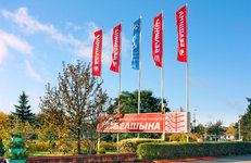 РАСКРУТИТЬ ВЗАИМОДЕЙСТВИЕ: результаты НТС по развитию шинной промышленности РБ