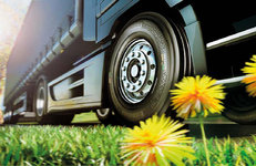 ГЕВЕЯ & ОДУВАНЧИКИ. Натуральный каучук незаменим при производстве шин