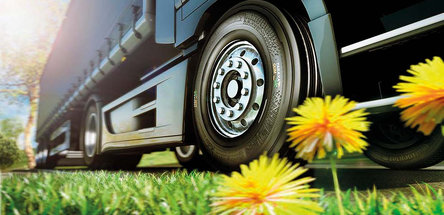 ГЕВЕЯ & ОДУВАНЧИКИ. Натуральный каучук незаменим при производстве шин