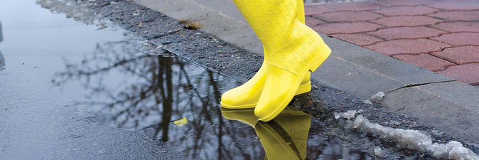 КРИЧЕВСКИЕ ВЕЛЛИНГТОНЫ