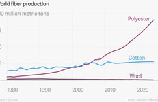 ПОЛИЭФИР: ПРЕВОСХОДСТВО И ПЕРСПЕКТИВЫ