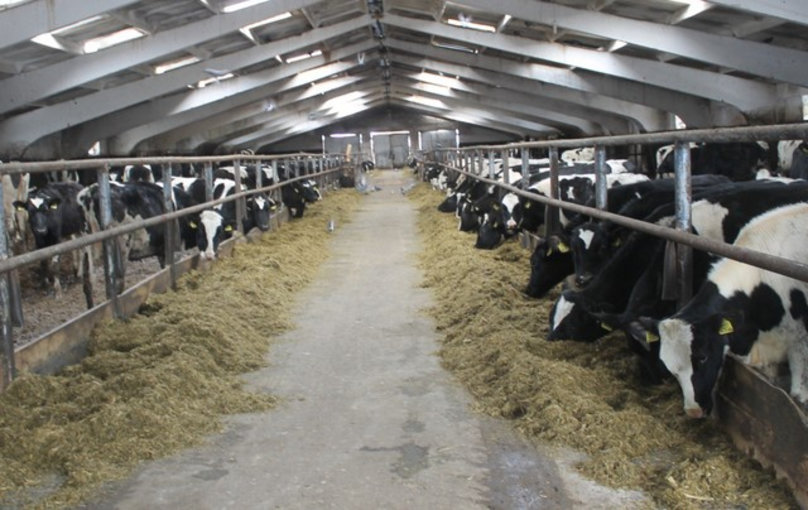 Подшефное агропредприятие ОАО «ПСВ» — лидер в Полоцком районе