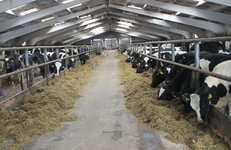 Подшефное агропредприятие ОАО «ПСВ» — лидер в Полоцком районе