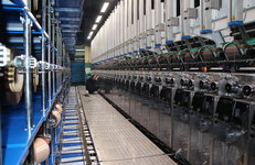 АЛГОРИТМ ПЕРСПЕКТИВНОГО РАЗВИТИЯ ОАО «СВЕТЛОГОРСКХИМВОЛОКНО»