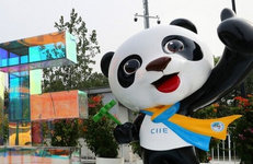 Нефтехимические предприятия участвуют в выставке импорта в Шанхае