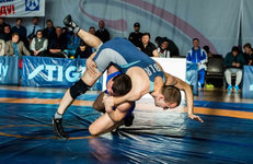 СВОЯ БОРЬБА: состоялся турнир по борьбе при поддержке концерна