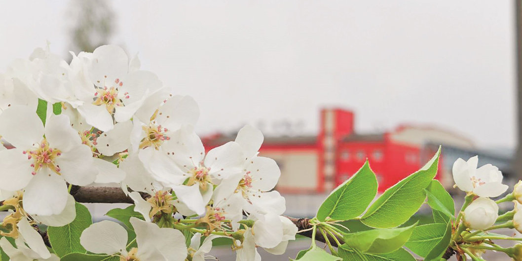 Система ценностей ОАО «СветлогорскХимволокно»