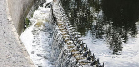 Очистка сточных вод ОАО «СветлогорскХимволокно» в надежных руках