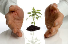 ПРОЦЕСС ПОШЁЛ: прогрессивность декрета №7 «О развитии предпринимательства»