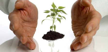 ПРОЦЕСС ПОШЁЛ: прогрессивность декрета №7 «О развитии предпринимательства»