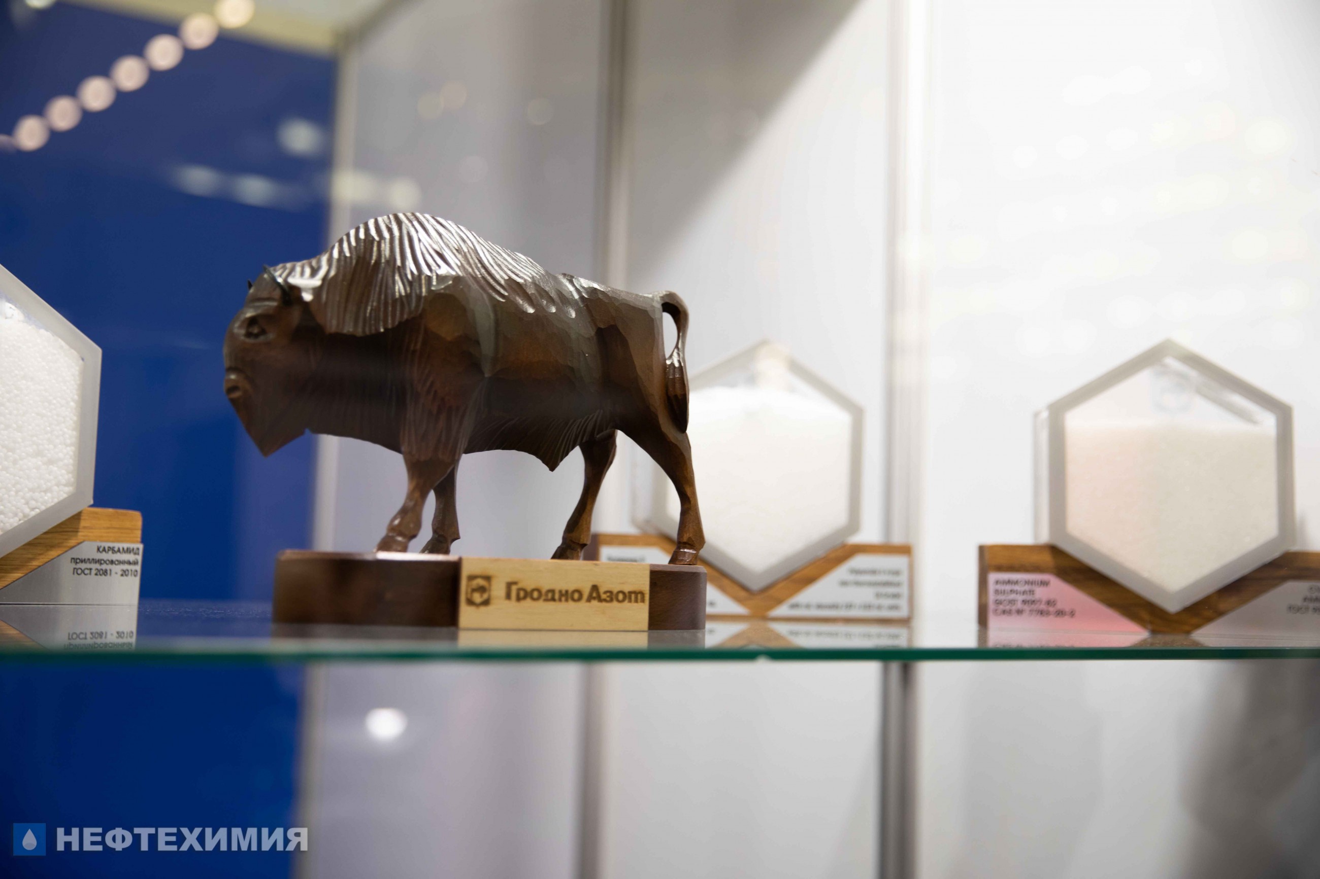 «Гродно Азот» и «СветлогорскХимволокно» участвуют в выставке «Образование и карьера» в Минске