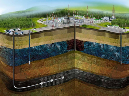 В Беларуси отмечен прирост запасов нефти и торфа