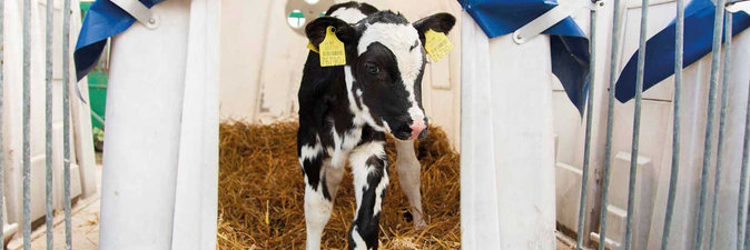 Названы лидеры в аграрном секторе нефтехимической отрасли