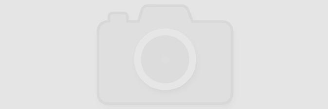 СЛАЖЕННАЯ РАБОТА