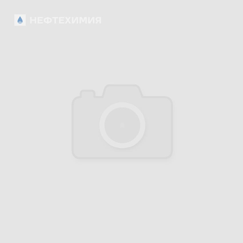 ПГУ: НАУЧНОЕ ЯДРО КЛАСТЕРА