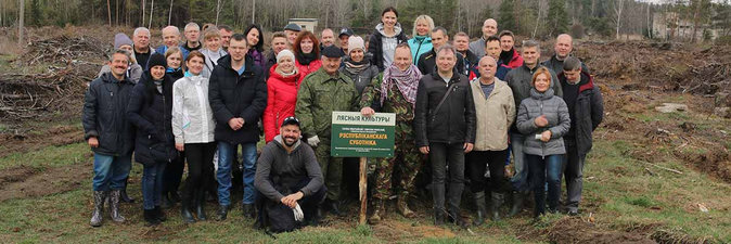 ЛЕСНАЯ ПОЛОСА — ВСЕМУ ПОЛЮ КРАСА