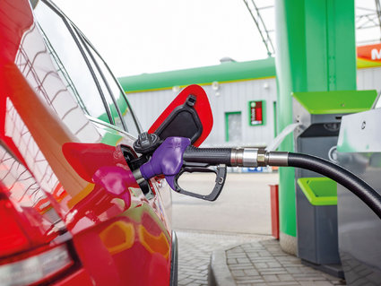 Палитра услуг «зеленого» бизнеса «Белоруснефти»