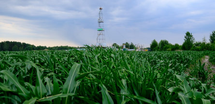 В июле фонд скважин «Белоруснефти» пополнился новыми объектами