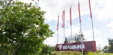 «Белшина» может заместить Bridgestone и Michelin на российском рынке 