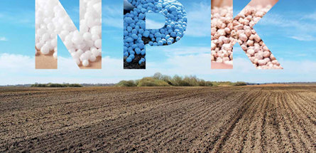 МАКСИМАЛЬНЫЙ ЭФФЕКТ