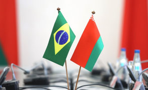 Экспортные возможности «Белнефтехима» и «Беллегпрома» представлены в Бразилии