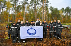 Работники ОАО «Гомельтранснефть Дружба» высадили тысячи саженцев сосны
