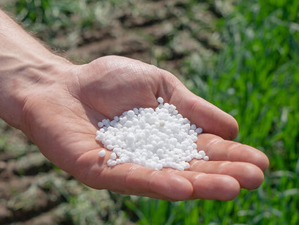 В Татарстане планируют выпускать аммиак и карбамид