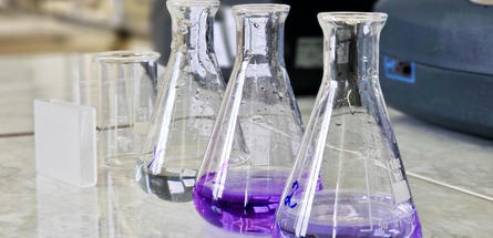 АО «Транснефть — Дружба» за первое полугодие выполнило 20 тысяч экологических исследований