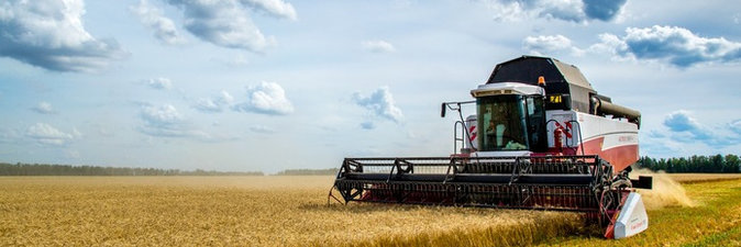 Успехи РУП «Белоруснефть-Особино» и СУП «П-С Карпеки» в уборочной кампании