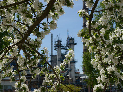 Мозырский НПЗ подтвердил соответствие экологическим стандартам