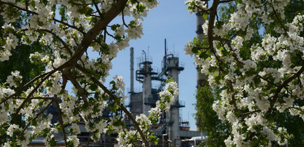 Мозырский НПЗ подтвердил соответствие экологическим стандартам