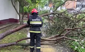 Спасатели ликвидируют последствия грозы