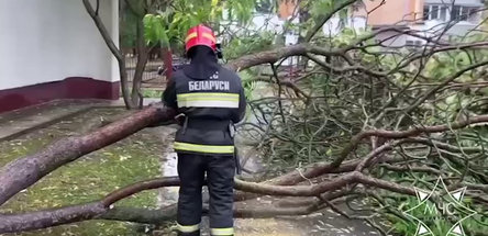 Спасатели ликвидируют последствия грозы