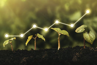 Мировое потребление удобрений к 2030 году вырастет на 23 млн тонн