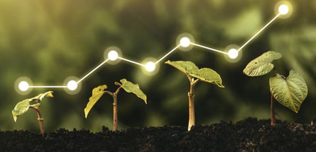 Мировое потребление удобрений к 2030 году вырастет на 23 млн тонн