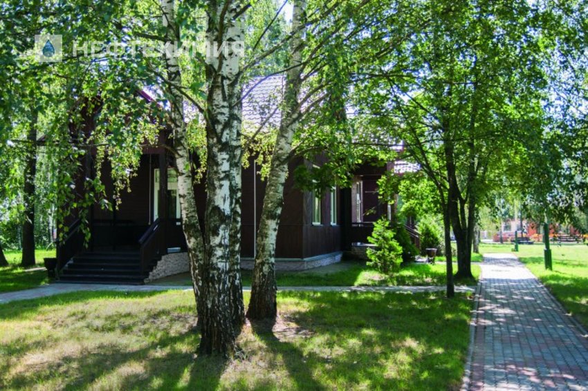 У СТАРИКА В РАЮ: как поживает базы отдыха «Милоград» на высоком берегу Днепра ОАО «Гомельтранснефть Дружба» 