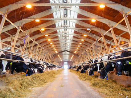 Ход строительства МТФ в «ПС-Карпеки» под контролем