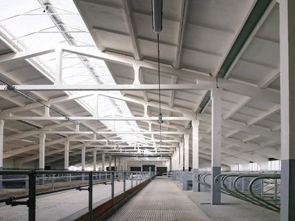 ОАО «ПСВ» построило молочнотоварную ферму для подшефного хозяйства