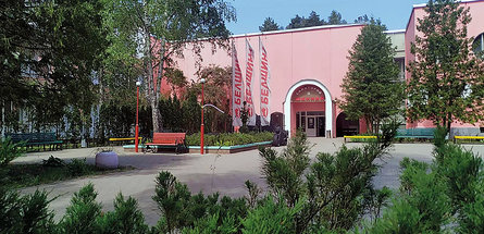 ЛЕСНЫЕ ДАРЫ ДЛЯ КАЖДОЙ ПОРЫ