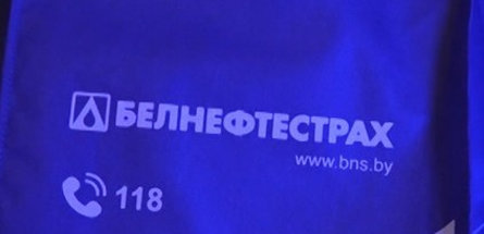 «Белнефтестрах» принял участие в акции «Наши дети»