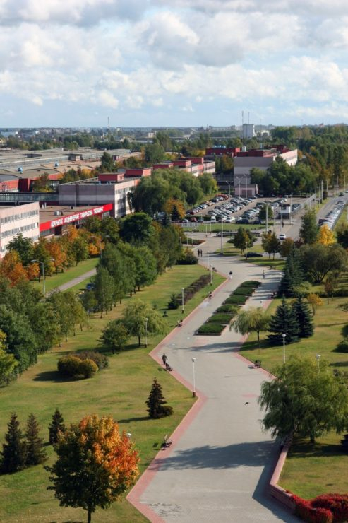 god-maloj-rodiny_vid_belshina_zavod