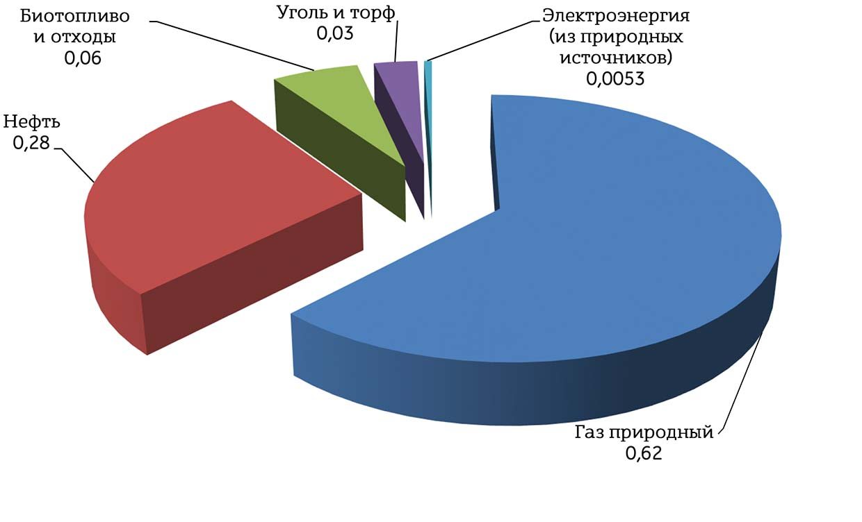 Рис. 8. Структура потребления ТЭР в Беларуси в 2019 году